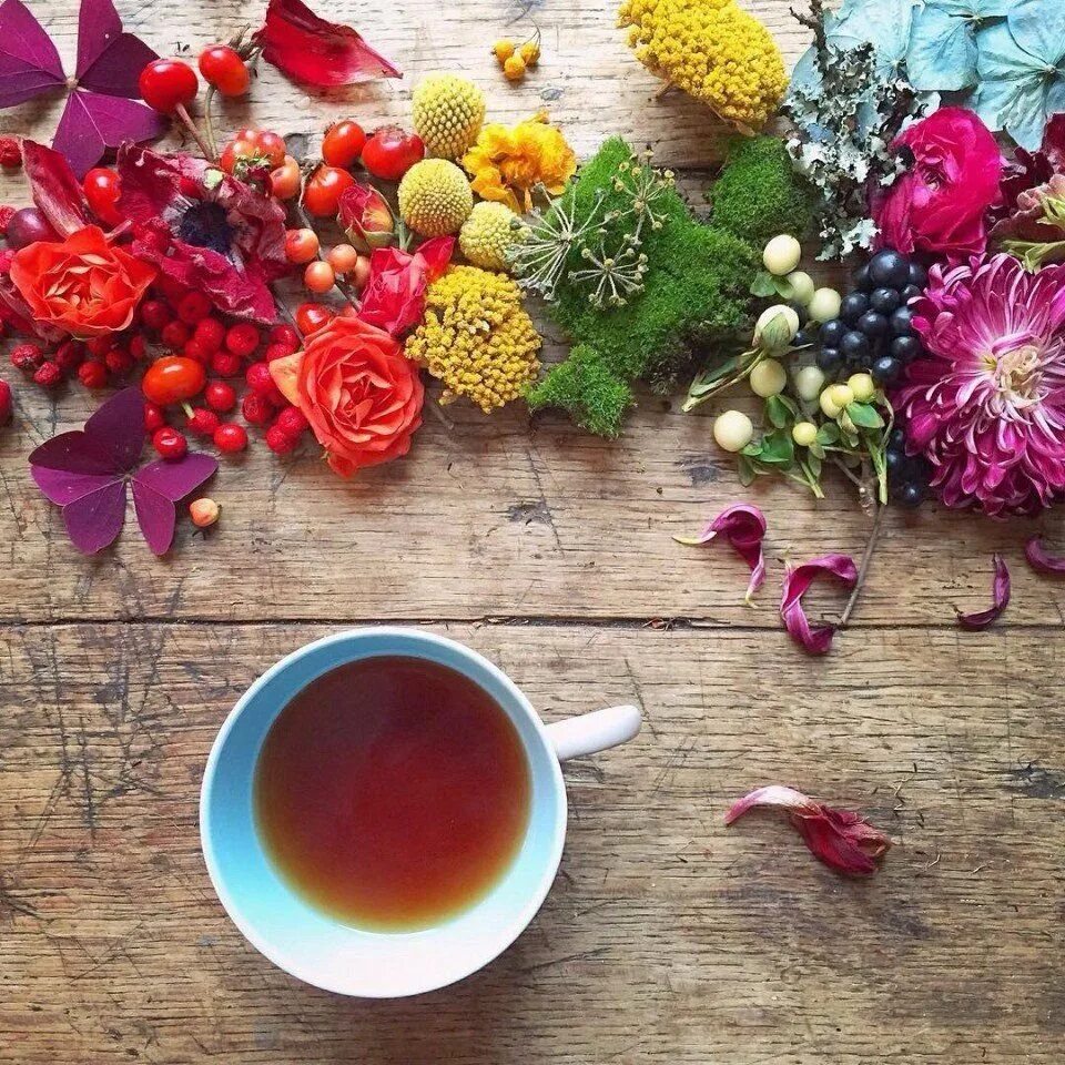 Доброе утро яркие цветы. Цветочный чай. Летний чай. Яркое утро. Чай цветок.