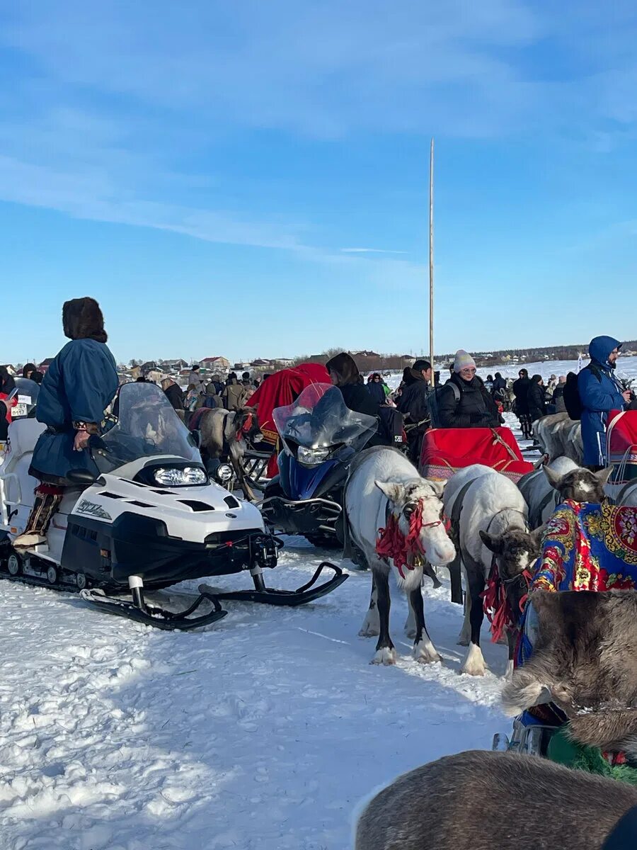 Праздник оленевода в салехарде. День оленевода 2023 ямал. День оленевода 2023 салехард. День оленевода 2022 тарко сале. День оленевода салехард 2025.