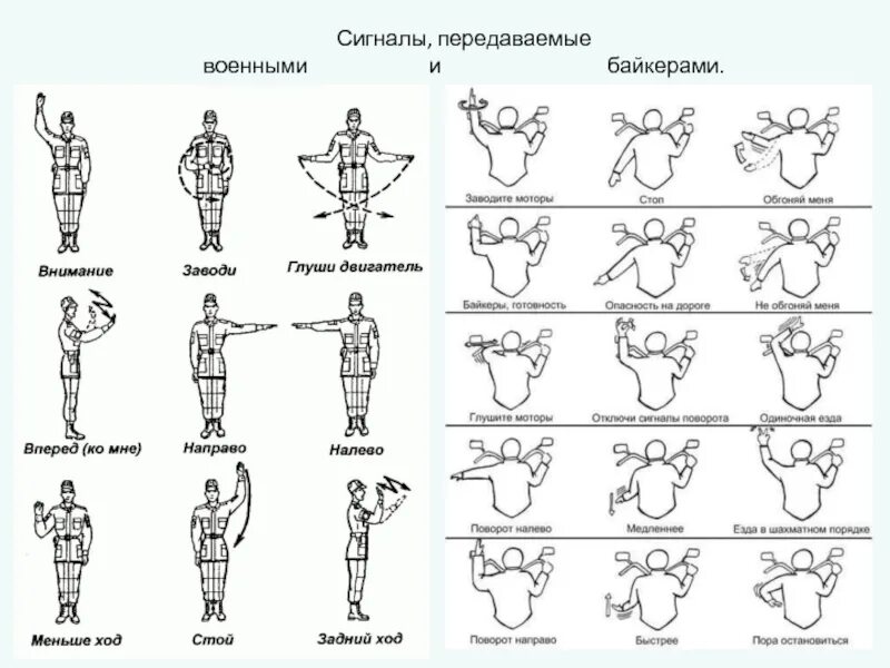 Сигналы управления автомобилем. Сигналы управления флажками. Сигналы и жесты управления. Сигналы управления машиной.