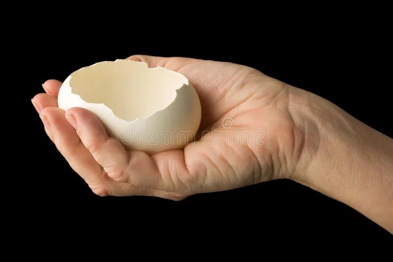 Яйцо открытое. Яйцо раскрытое. Открывать яйца. Яйцо с открытой крышкой.