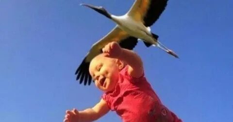 Поймала ребенка видео
