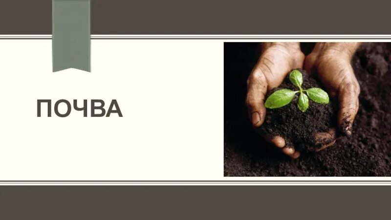 Почвы 6 кл. Почвы 6 класс. почва презентация 6 класс география. почвы проект 6 класс. презентация на тему почва 6 класс география.