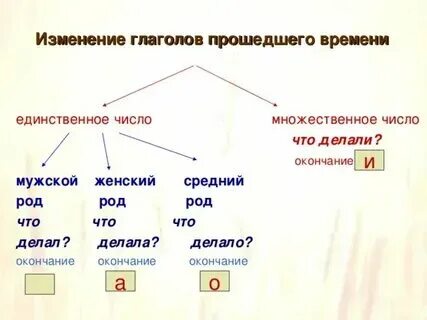 Род глагола множественного числа. Род глагола множественного числа