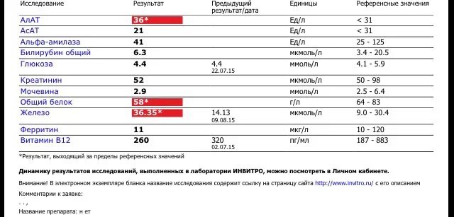 Витамин в в крови что показывает