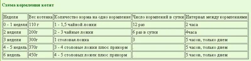 Сколько надо кормить котенка. Норма кормления котенка 6 недель. Нормы кормления новорожденных котят. Таблица кормления новорожденного котенка. График кормления котенка.