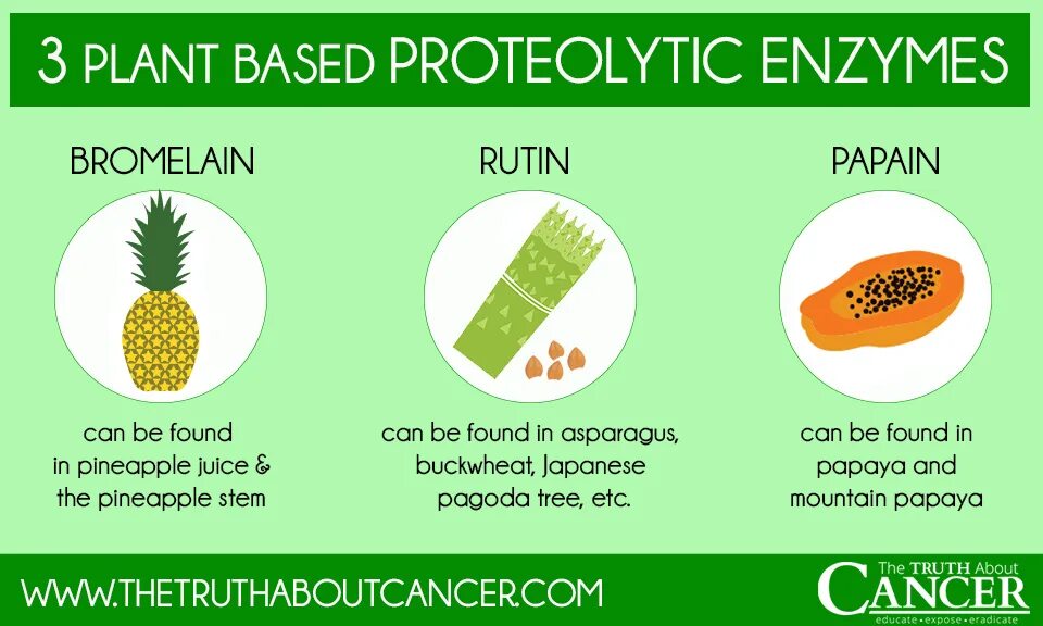 Proteolytic Enzymes. Бромелайн и папаин. Бромелайн+папаин+рутин.