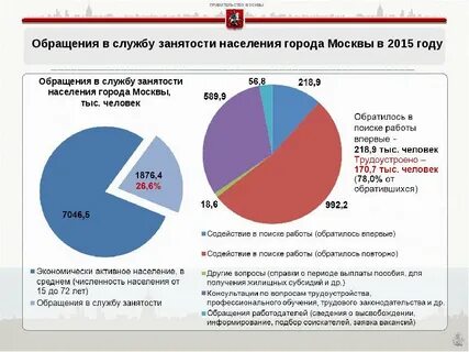 Сфера занятости и трудоустройства