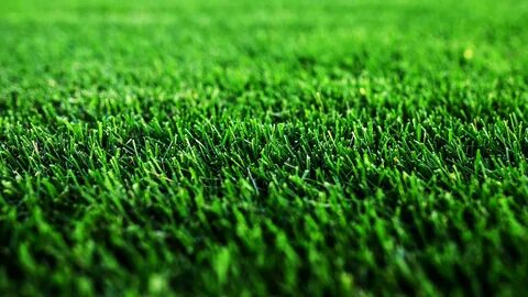 Grass 3 1