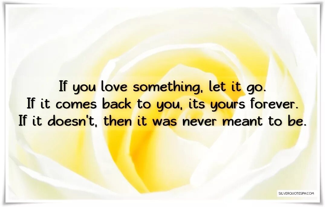 Let something. If you Love something Let it go, if it comes back to you it's yours. If it doesn't, it never was.. If you Love someone Let it go quotes. Love.something картина. Come back love