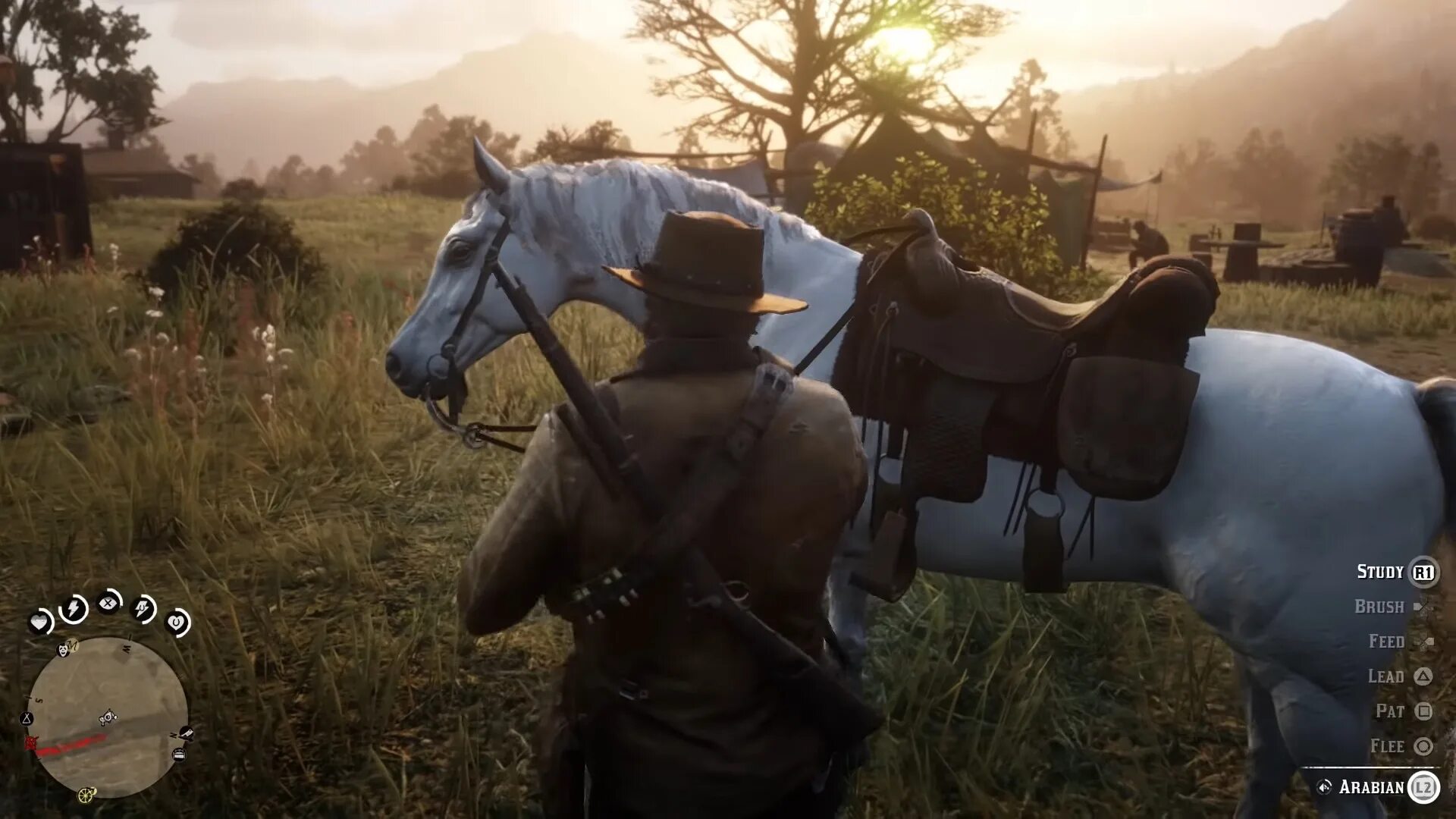 Red Dead Redemption 2 Horses. Rdr2 Arabian White Horse. Яйца лошади Red Dead Redemption 2. Рдр 2 где найти арабскую лошадь