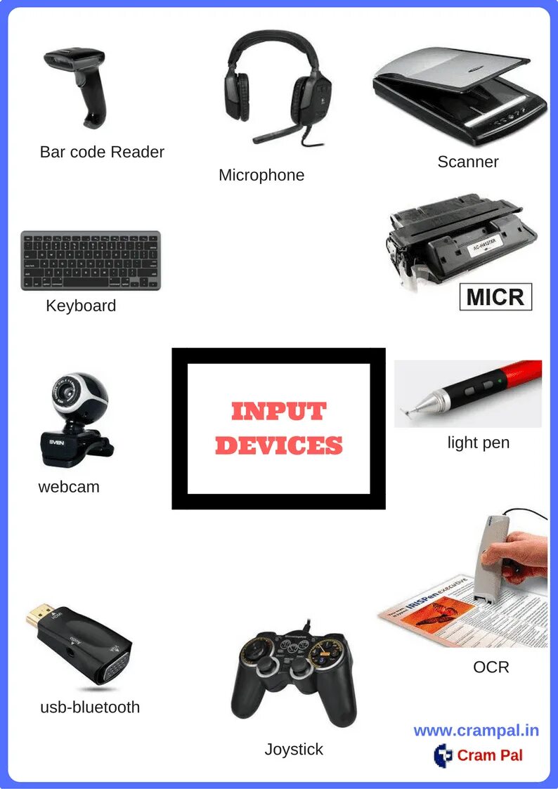 Input devices. Устройства ввода и вывода. Input devices of Computer. Устройства ввода и вывода картинки. Device на английском