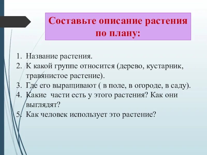 То есть наука о растениях составить предложение. План описания растения. Составление описание растения по плану. Описание по плану. План описания растения для начальной школы.