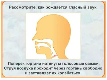 Звуки рождаются звуки