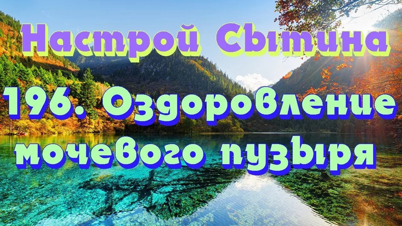 Настрои Сытина на оздоровление. Настрой на оздоровления организма. Настрой Сытина исцеление мочевого пузыря. Настрой Сытина на оздоровление мочевого пузыря для женщин.