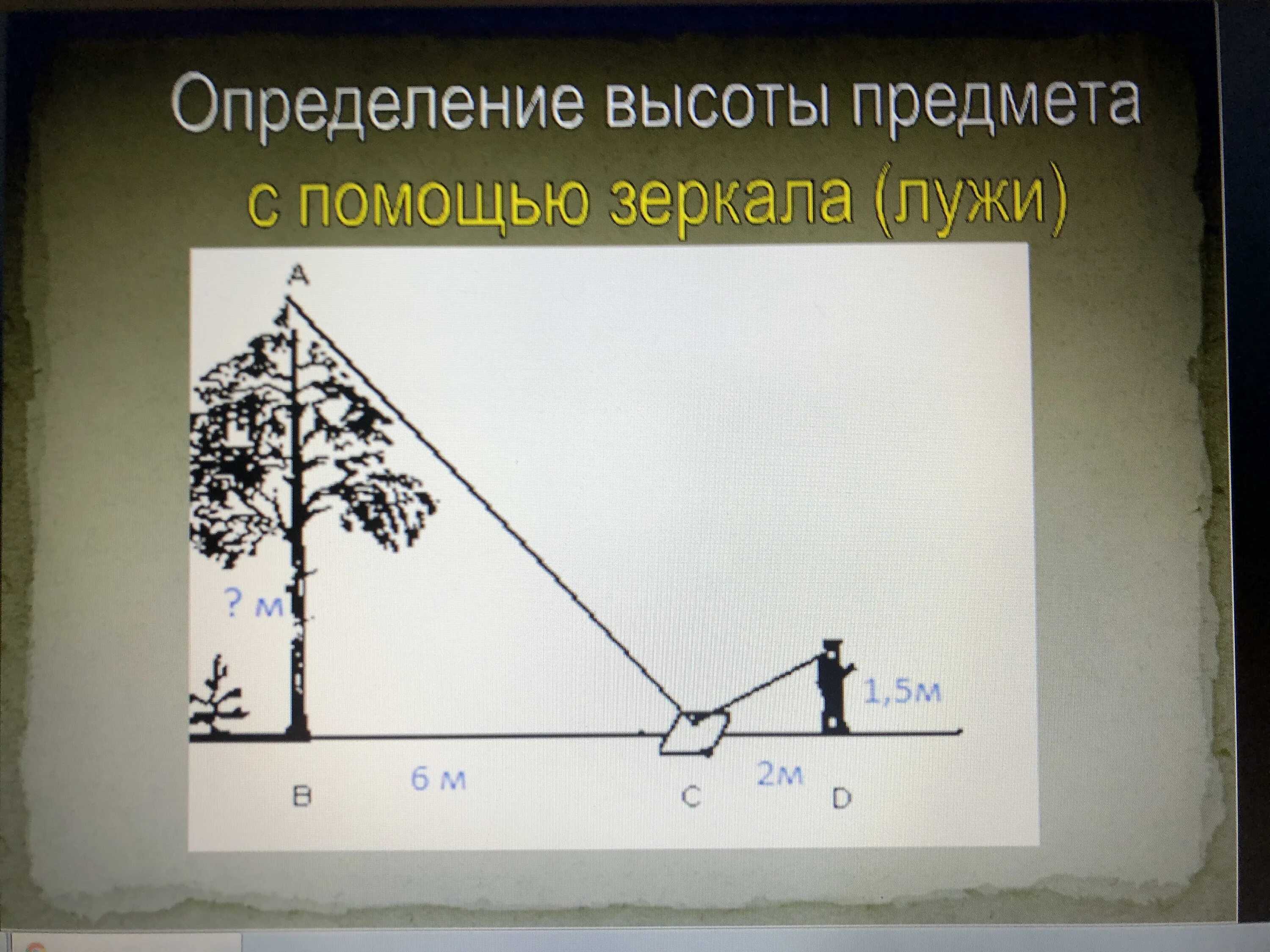 Определение высоты предмета геометрия. Определение высоты предмета. Высота определение. Измерение высоты предмета с помощью зеркала. Измерение высоты дерева с помощью зеркала.