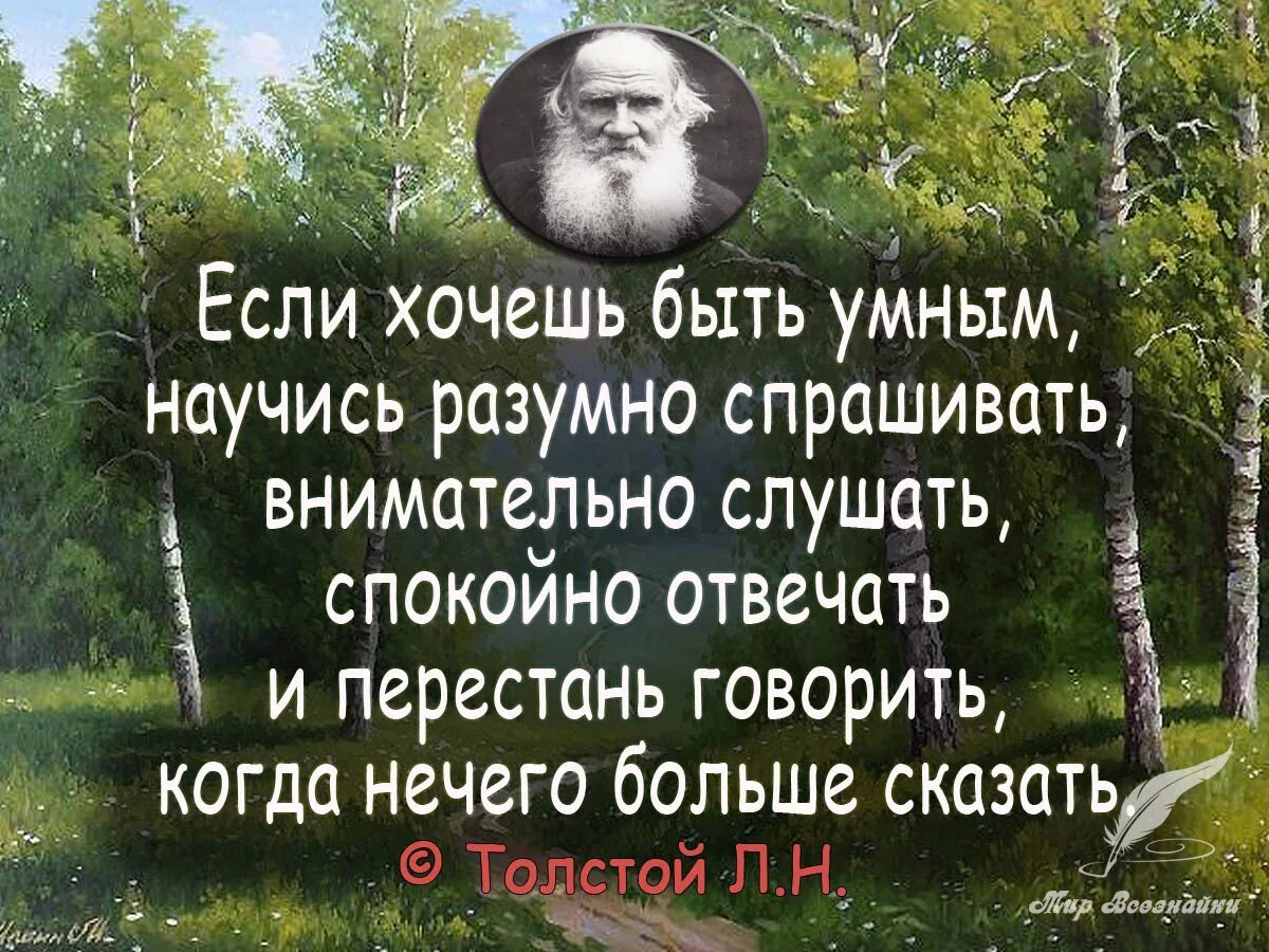 Цитаты про людей. Мудрые изречения. Быть умнее цитаты. Цитаты про выбор в жизни. Мудрые цитаты.