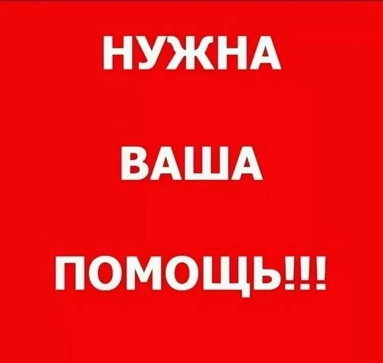 Помогите нужен сайт. Нужна помощь. Нужна ваша помощь. Очень нужна ваша помощь. Нам нужна ваша помощь.