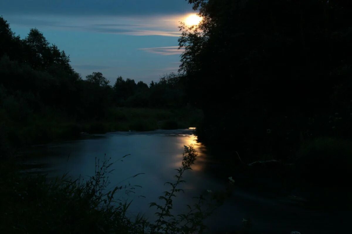 Далеко в полумраке луками убегает