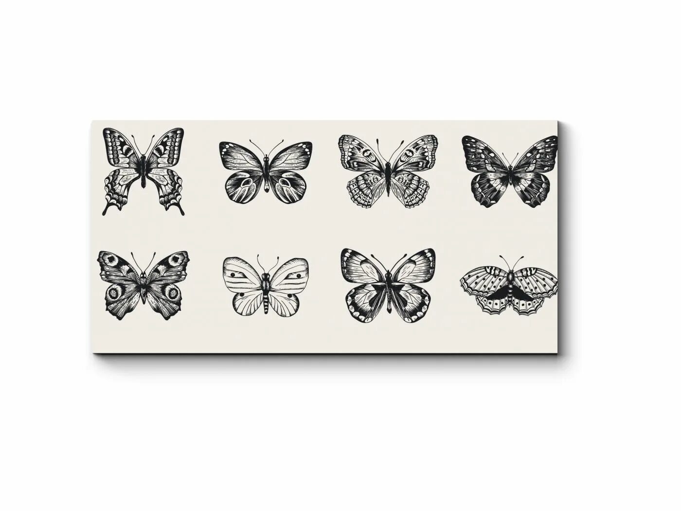 Черные бабочки 1. Бабочка черно белая. Бабочки для распечатки. Наклейки бабочки чб. Стикеры "бабочки".