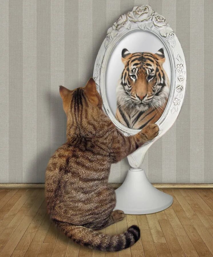 Перед зеркалом. Эмпат лицо женщины. Отражение в зеркале. In the mirror. He saw in the mirror.