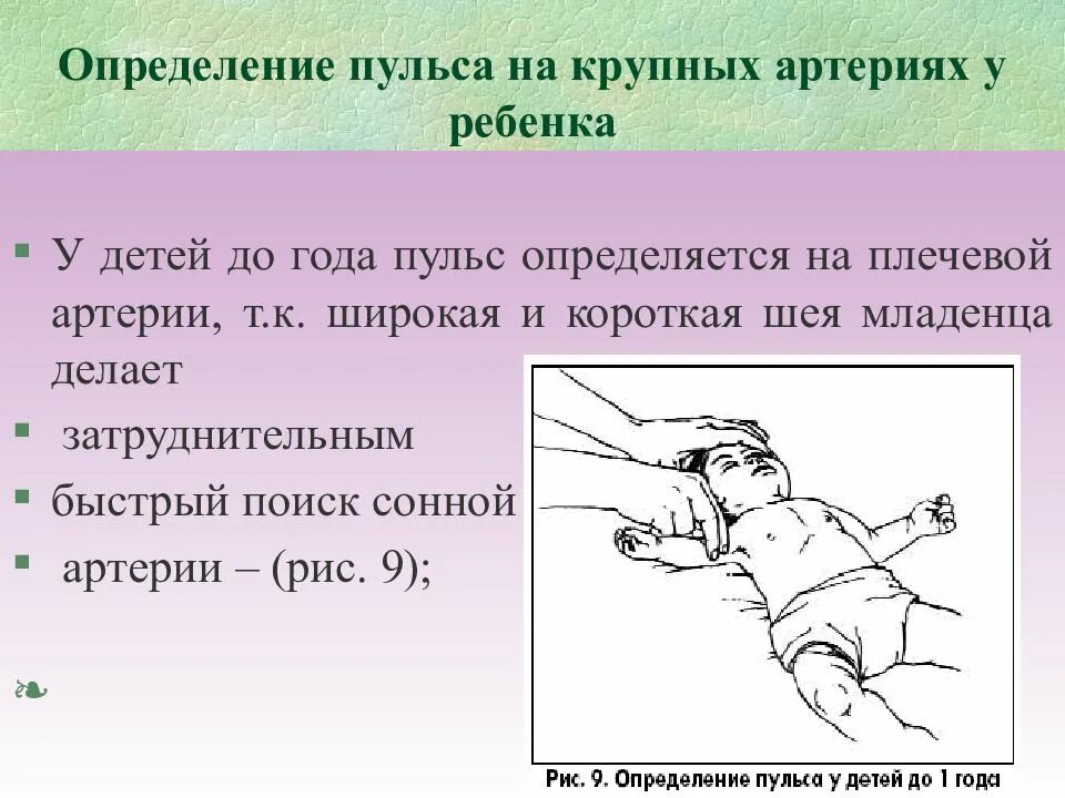 Частота измерение пульса новорожденного. Измерение частоты сердечных сокращений у детей. Измерение ЧДД У детей. Техника подсчета ЧСС новорожденного алгоритм. Алгоритм действия пульса