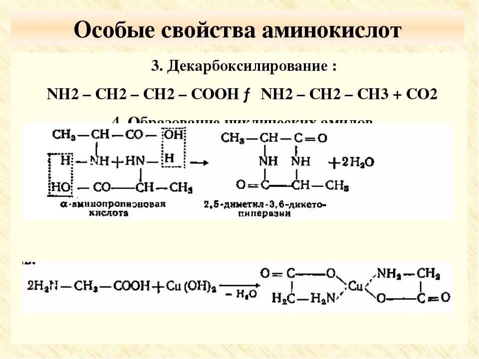 Ch ch ch cooh nh. Аминокислота ch2-ch2-c2h-c2h-Ch-Cooh. Ch3-Ch-ch3-ch2-Ch-nh2-Cooh аминокислота. Nh2ch2ch2cooh название аминокислоты. Ch2 Ch nh2 Cooh название.