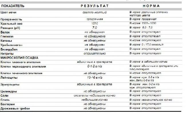 Микроскопия осадка мочи норма. Исследование мочи микроскопия осадка нормы. ОАМ микроскопия осадка норма. Анализ мочи микроскопия осадка норма.