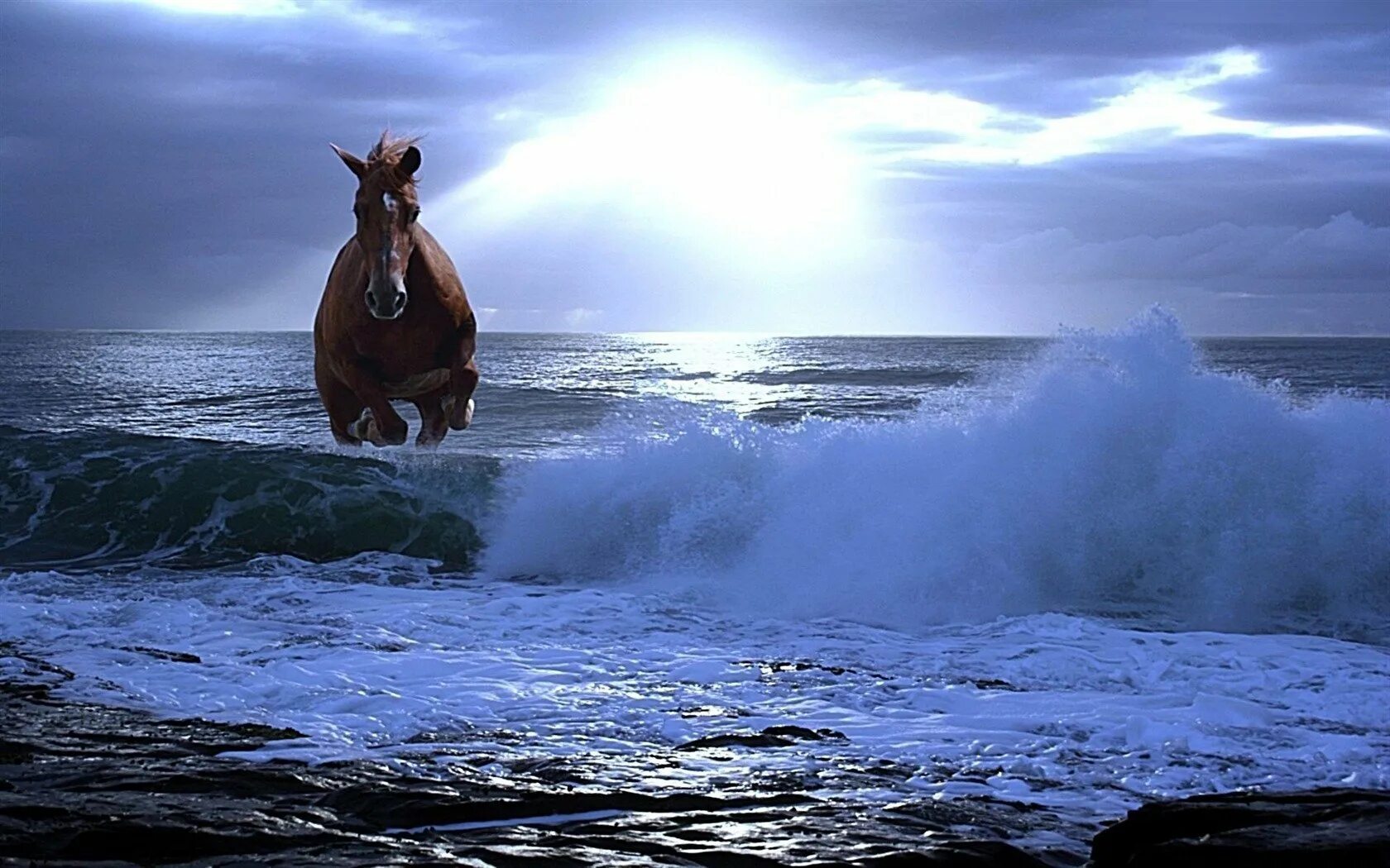 «Лошади в океане» Николая Гусарова. Лошади в океане (1989). Конь на берегу моря. Лошадь на фоне моря.