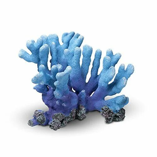 Coral blue. Голубой коралл Акори. Монтипора коралл Австралии. Циклозерис коралл синий. Морские кораллы синего цвета.