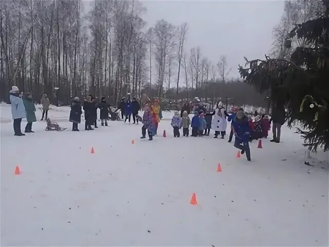 Подслушано в арсеньево тульской. Комсомольский парк Арсеньево. Парк Арсеньево Тульской области. Комсомольский парк Тула Арсеньево. Фото парк на Комсомольском Арсеньево Тульская область.