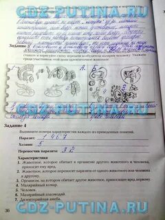 Тетрадь по биологии 7 класс суматохин