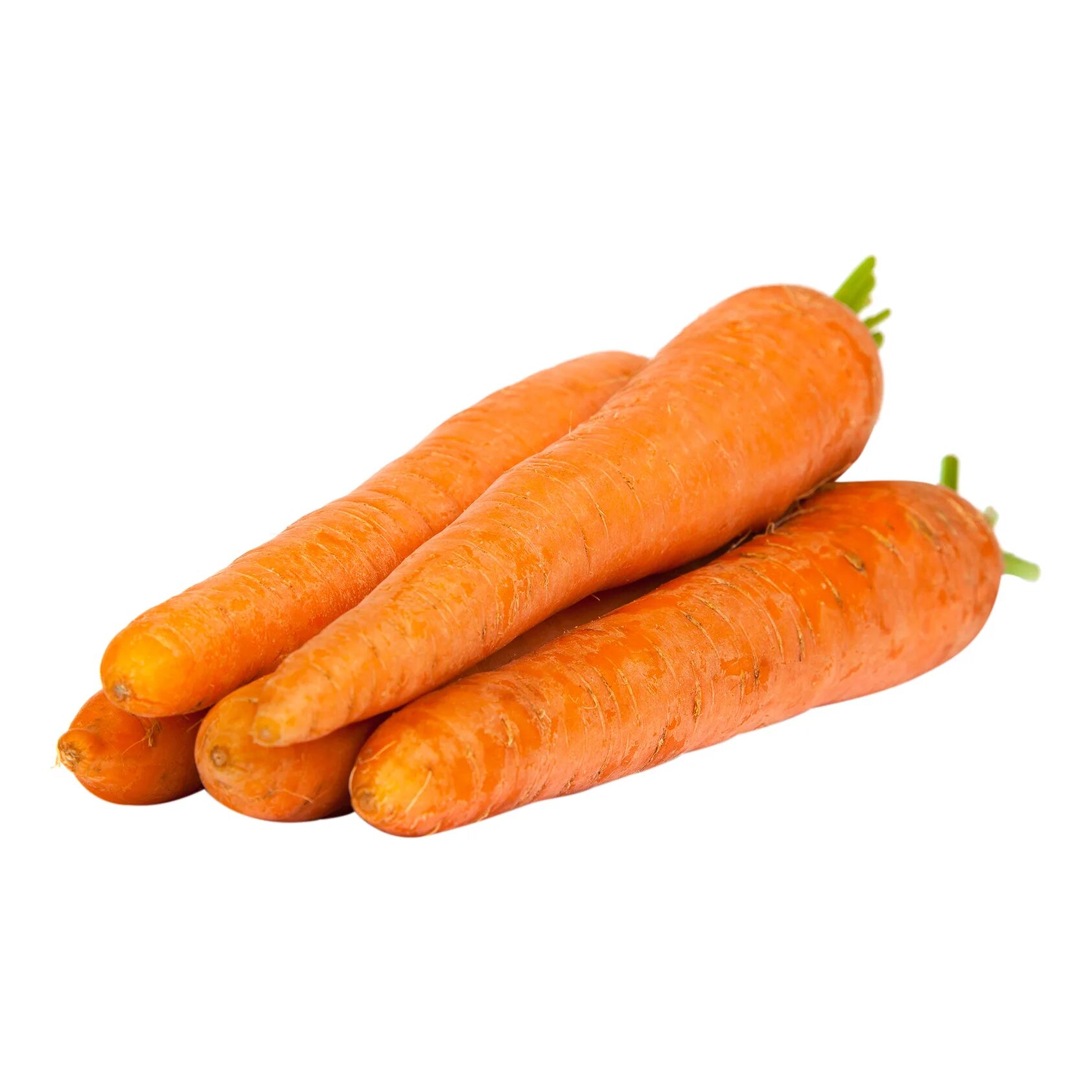 Сколько весит морковка. Морковка 500g. Морковь свежая. Морковь мытая. Морковь фото.