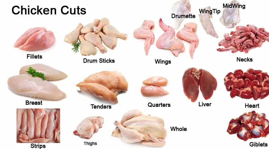Chicken cuts. Chicken parts. части курицы на английском. части курицы название. курица виды мяса.