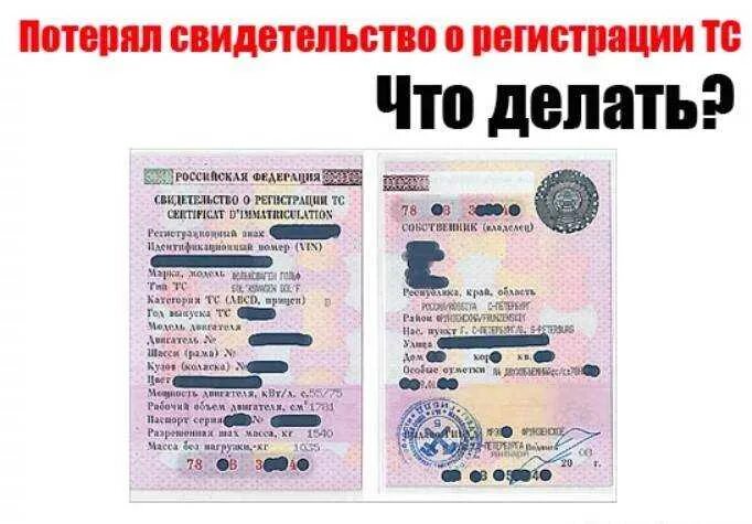 Потерял стс что делать. Утерян стс на машину как восстановить. Свидетельство на машину утеряно. Потерял стс что делать. Стс на машину 2024.