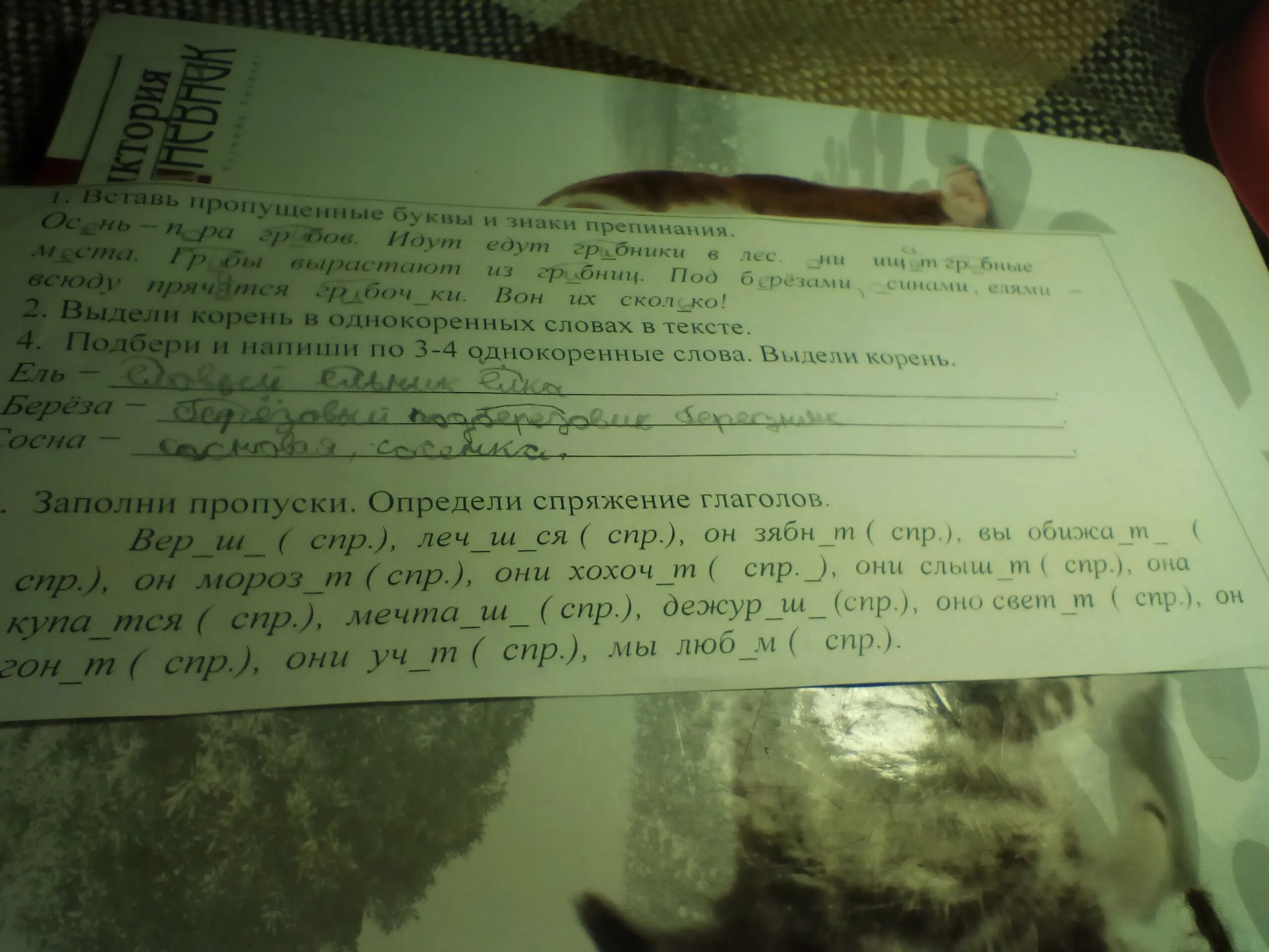 Заполни пропуски 8/12 учи ру. Заполни пропуски 320=. Заполни пропуски на английском. Заполни пропуски веришь лечишься. Начальная форма глагола оканчивается на.