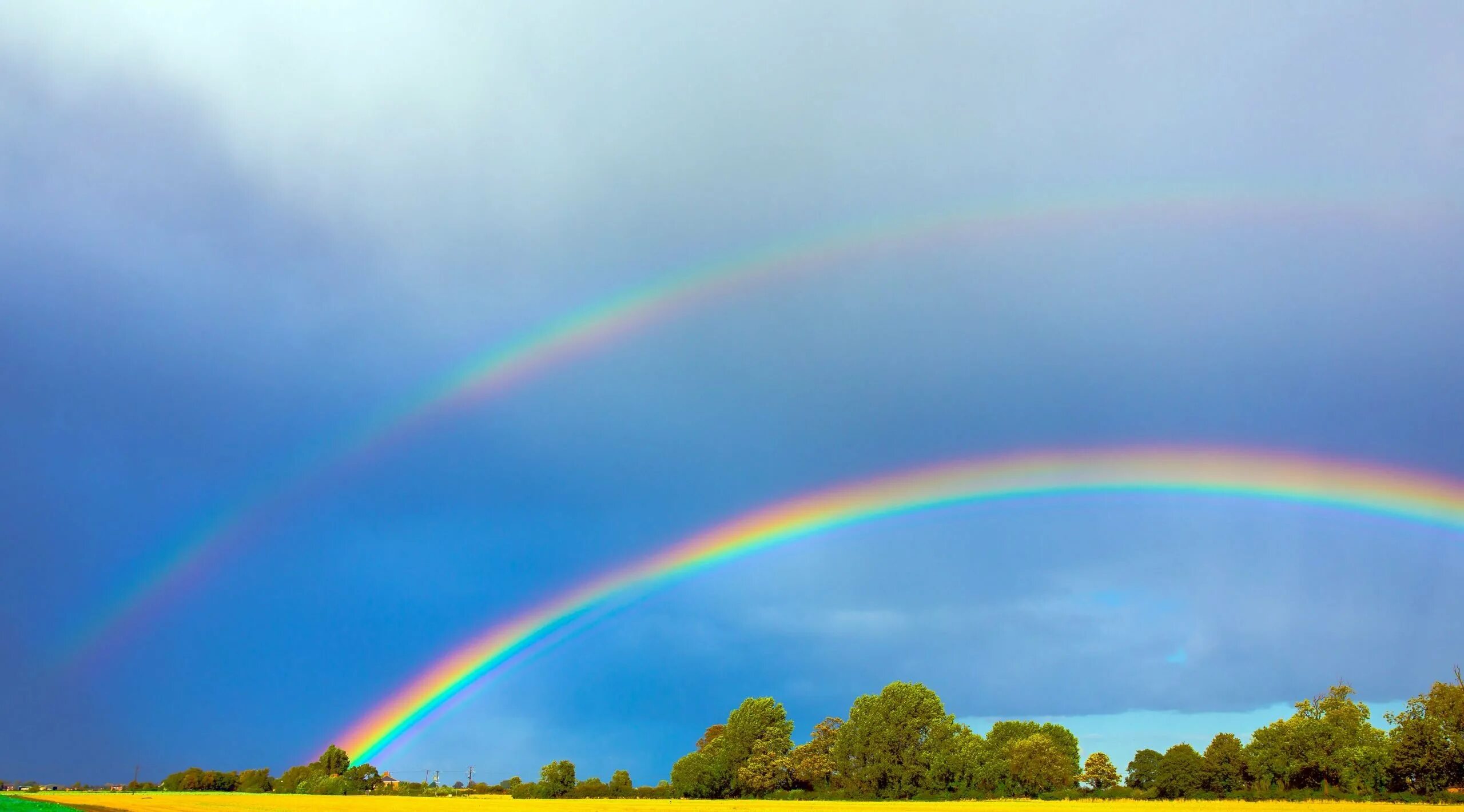 Rainbow 3 animals