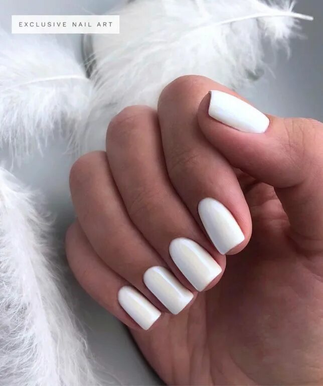 Включи белый мягкий. Белые ногти. Чисто белые ногти. Белые ногти квадрат. Ногти белые квадратные короткие.