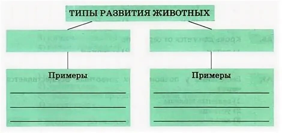 Схема виды развития