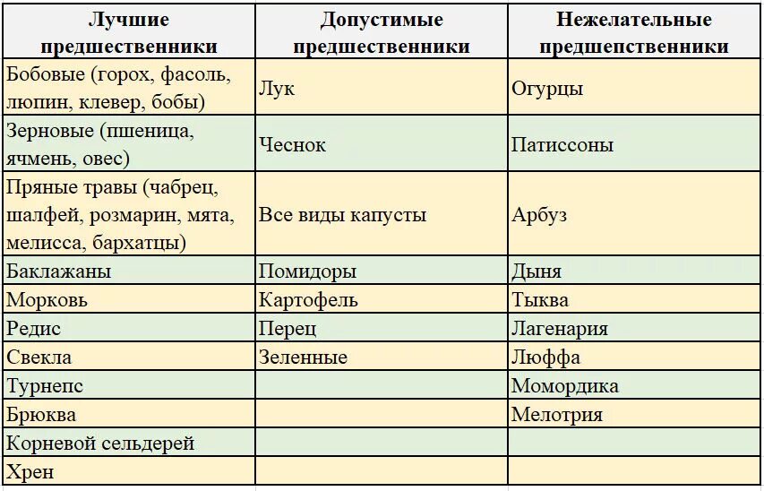 Лучшие предшественники. Лучшие предшественники фасоли. После чего можно сажать кабачки на следующий год. После чего можно сажать фасоль на следующий год. После чего можно посадить огурцы