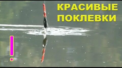 Ловля летом на поплавочную удочку видео