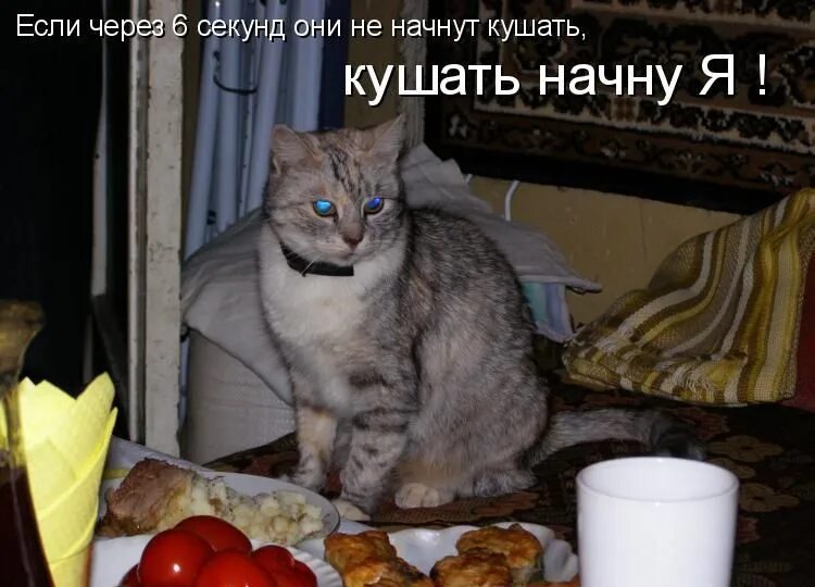 Кушать нету