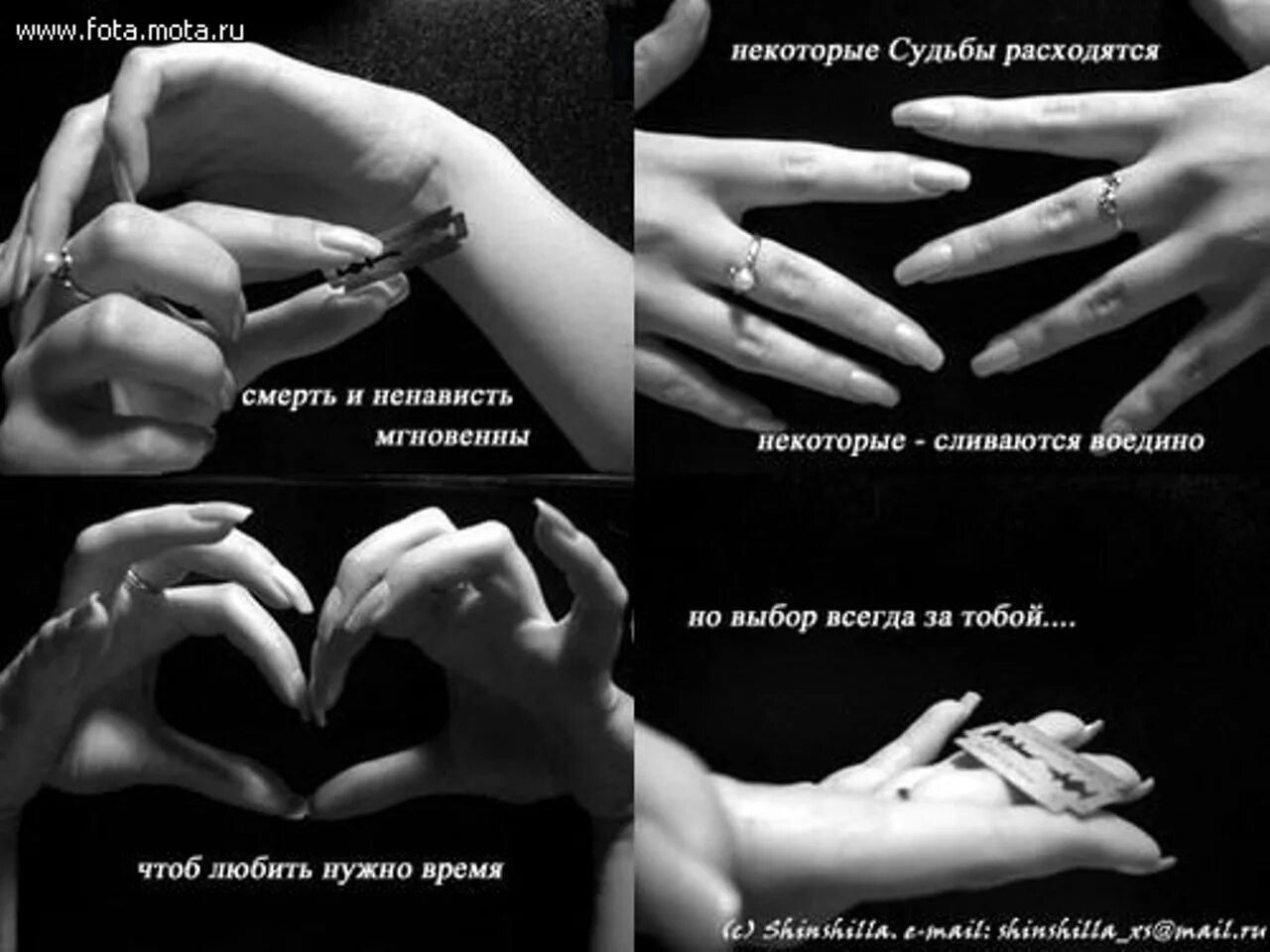 это зависть. дружеская ненависть. высказывания о любви и ненависти. ссора двух девушек. зависть и ненависть к людям.