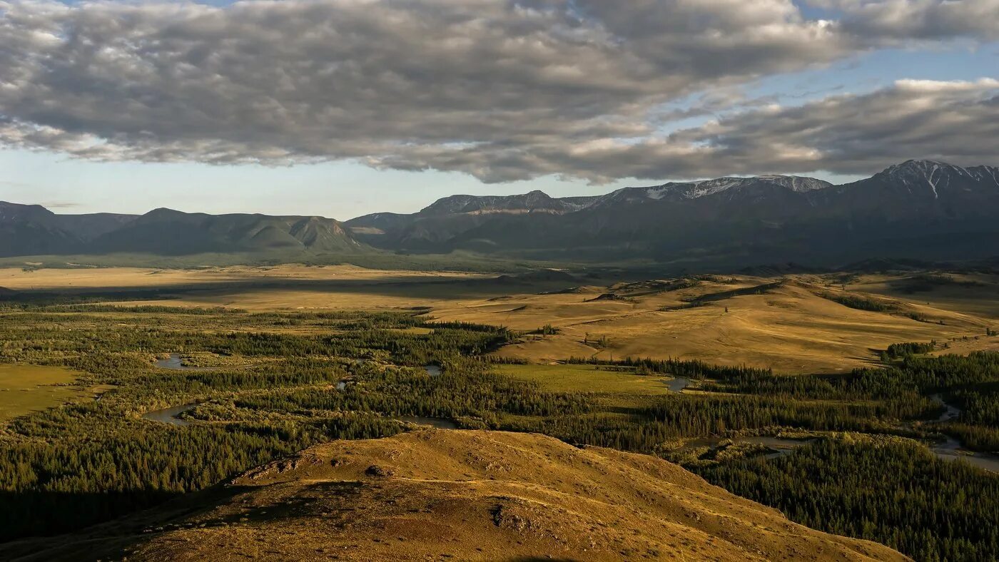 Природная зона равнины алтая. Курайская степь горный Алтай. Кулундинская степь. Кулундинская степь Алтайский край. Курайская степь Сибирь.