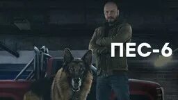 Пес 1 все