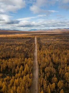 Магаданская область почва