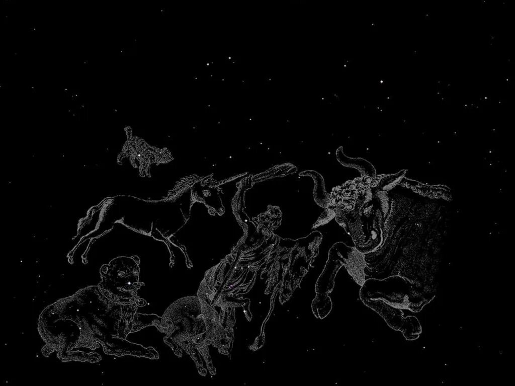 Волопас и гончие псы. Созвездие пса. Созвездие пса сириус. Волопас и гончие псы. Созвездие гончих псов схема.