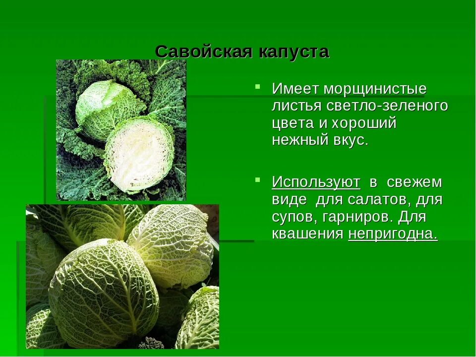 Как правильно говорить капусту