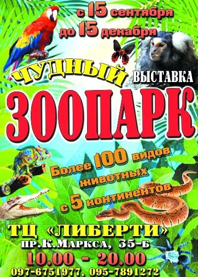 Грин выставка животных
