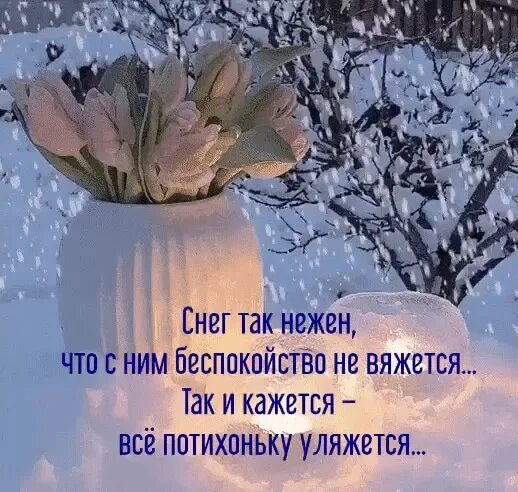 Снежное лето нежное это. Снежное лето нежное это. 2 июня снег. Снежное лето нежное это. Снежное лето нежное это.