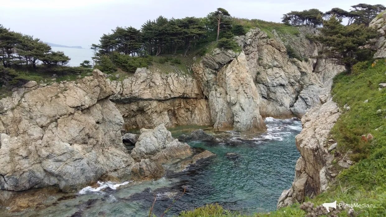 дальневосточный морской биосферный заповедник. владивосток заповедник дальневосточный. морской заповедник владивосток. дальневосточный морской заповедник северный район. морской заповедник хасанский район.